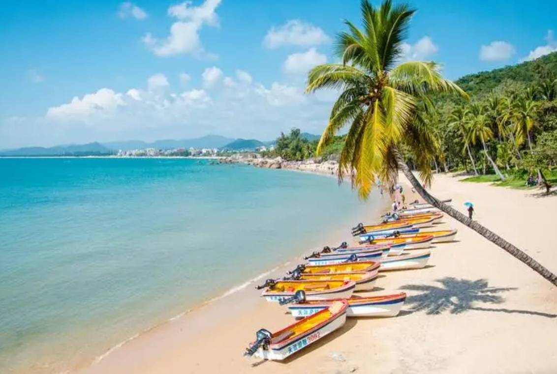 海南热带风情，无限商机等你来探索