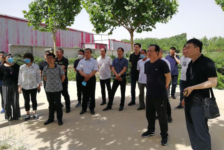 保定,古老活力之城的魅力风采