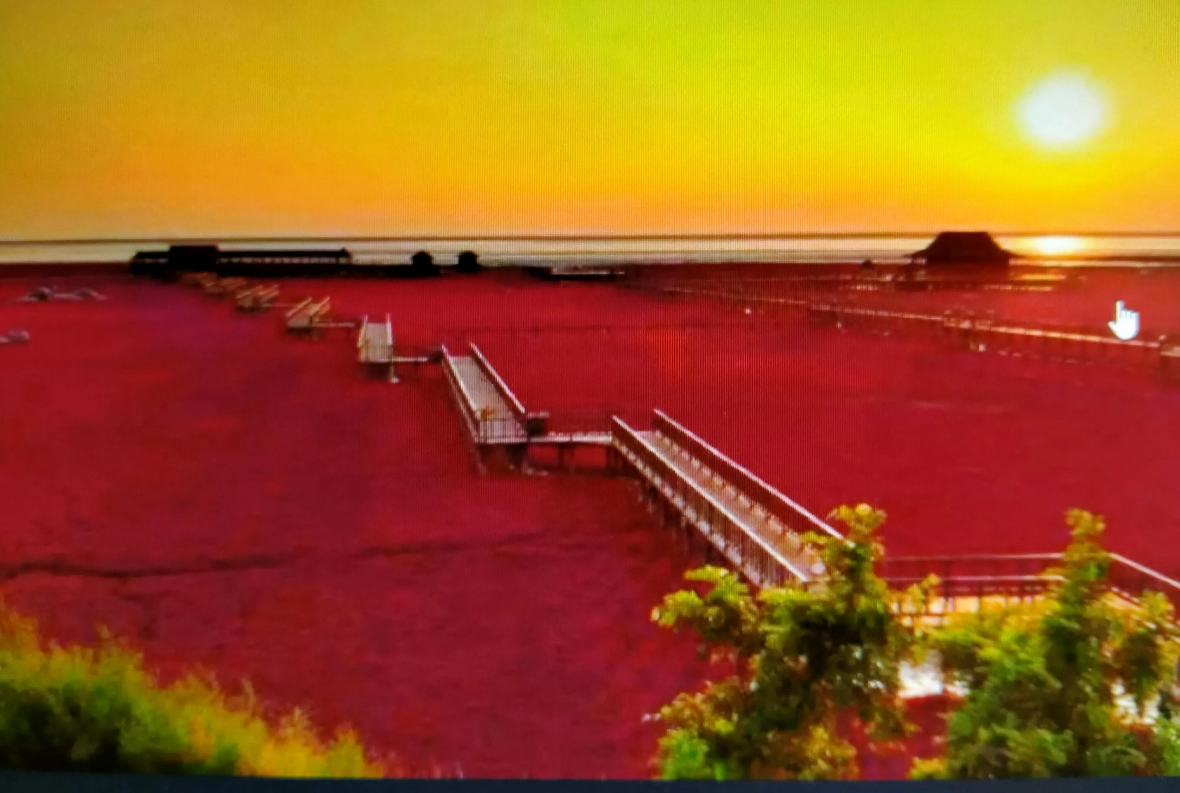 盘锦，湿地之城的独特韵味